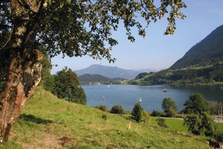 Großer Alpsee Immenstadt